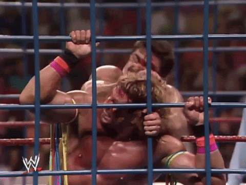 Ultimate Warrior Wrestling GIF by WWE