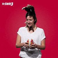 No Idea What GIF by SWR3