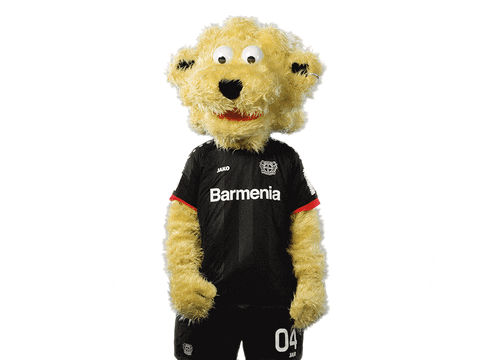 Bayer 04 No GIF by Bayer 04 Leverkusen
