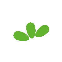 w-klein logo flower green leaf Sticker