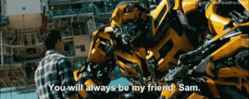 bumblebee GIF