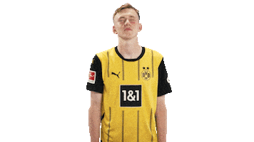 Borussia Dortmund Yes Sticker by Bundesliga