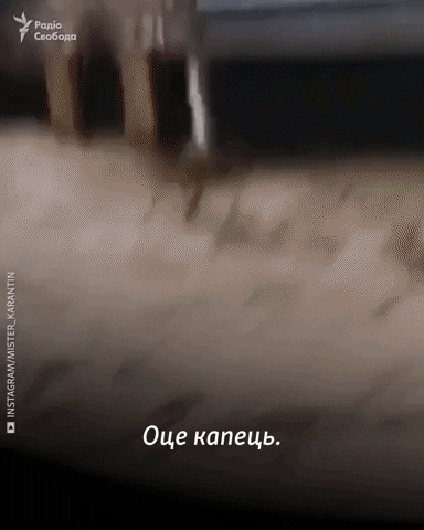 radiosvoboda giphygifmaker GIF