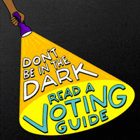Digital art gif. Hand holding a flashlight against a black background illuminates the message, “Don’t be in the dark. Read a voting guide.”