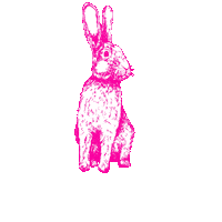 faunakids bunny rabbit fauna faunaie Sticker