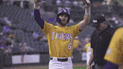 Celebrate Baton Rouge GIF by LSU Tigers