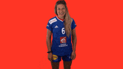 Ffhandball GIF by Fédération Française de Handball