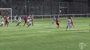 GlasgowCityFC goals glasgow city fc gcfc ocac GIF