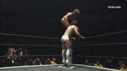 professional wrestling GIF by THE WRESTLERS