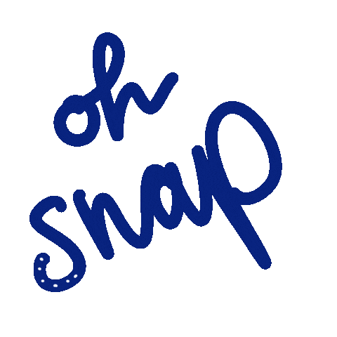 gifseo snap oh snap ohsnap shiii Sticker