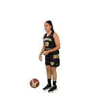 Shoot Tire Sticker by SOH Basketball