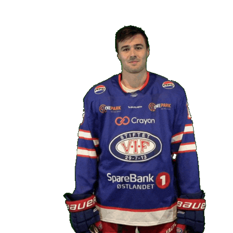 Nick Sticker by VIF Hockey