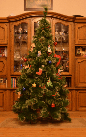 christmas tree GIF