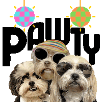 Saturday Night Fever Party Sticker