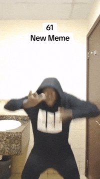 New Meme GIF