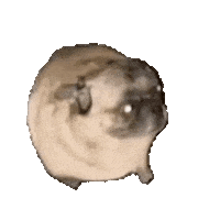 Dog Sticker