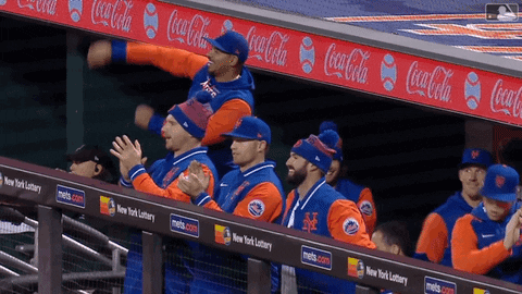 Celebrate Ny Mets GIF by New York Mets