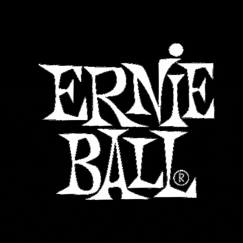 ERNIE_BALL giphygifmaker ernieball GIF
