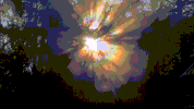 corona dimension GIF
