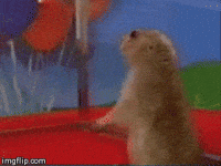 Dramatic Chipmunk Surprised Meme GIF