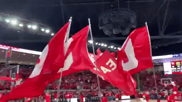 university of houston flags GIF by Coogfans