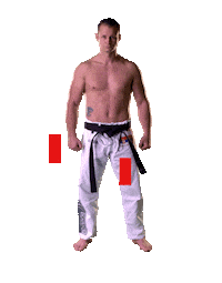 milos vukovic fight Sticker by Karate Combat