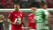 high five sl benfica GIF by Sport Lisboa e Benfica