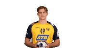 Handball Euro Sticker by EHF