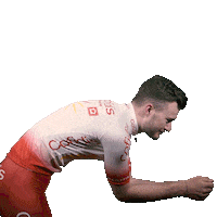 cofidis cycling Sticker by Team Cofidis - #CofidisMyTeam