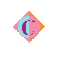 Fashion Logo Sticker by Camaleonicas