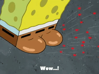 season 4 krusty towers GIF by SpongeBob SquarePants