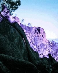 film analog GIF by Doctor Popular