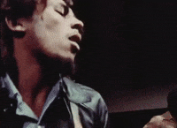Bob Marley And The Wailers Reggae GIF by Bob Marley