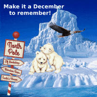 Polar Bear Christmas GIF