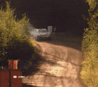 Coming Home Motorsport GIF by FIA World Rally Championship