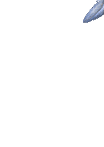 Blue Feather Falling Sticker