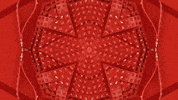 fashion italy GIF by Okkult Motion Pictures