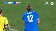 High Five Steph Catley GIF by Football Australia