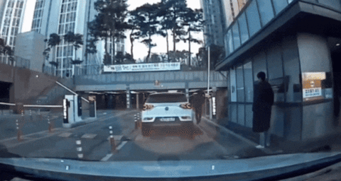 yj_jane giphyupload GIF