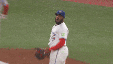 Blue Jays What GIF by Toronto Blue Jays