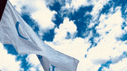 Real Estate Success GIF by Casol