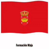Bandera GIF by Formación Ninja