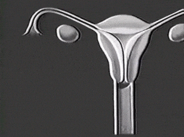 1946 GIF