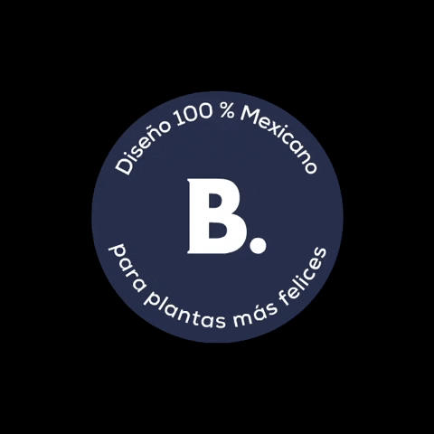 MuyBonito giphyupload bonito sello muy bonito GIF