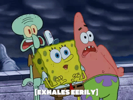 season 6 GIF by SpongeBob SquarePants