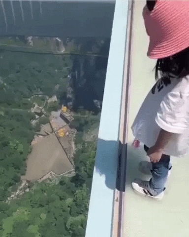 gif-vif giphyupload view from height GIF
