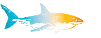 Cape Cod Art Sticker