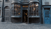 Harry Potter Magic GIF by gunnarolla