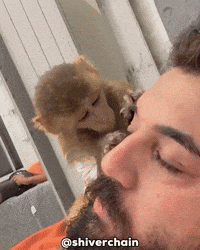 Horror Unsettling GIF