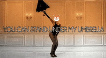 new york city cat GIF by Poncho